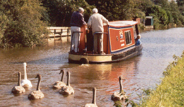 Sawns following boat