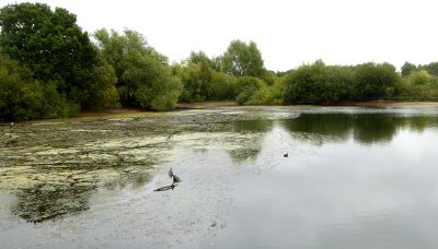 BranstonLake