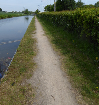MinworthTowpath