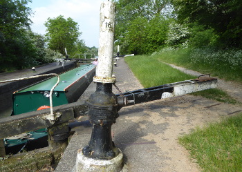 Rough out of Warwick