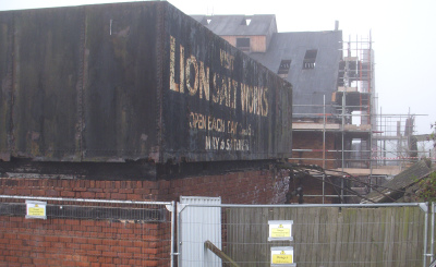 lion salt2