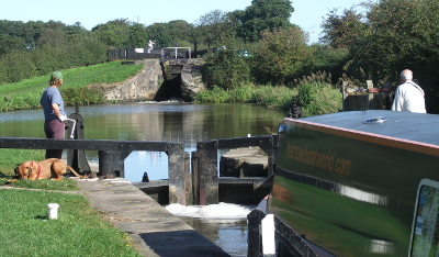 bosley locks