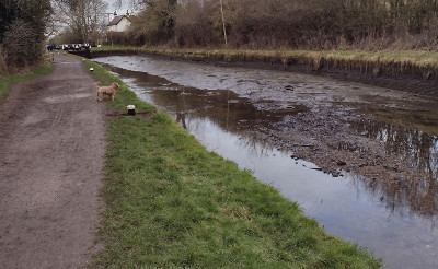 EmptyBulbourne