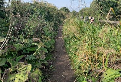 OvergrownTowpath