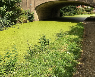 Lancaster Canal before work done 
