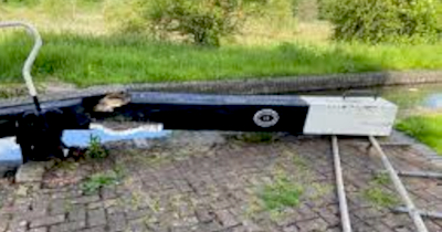 BrokenNorthamptonArm