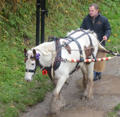 EasterGatheringFlower