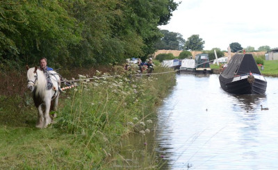 EasterGatheringPulling 