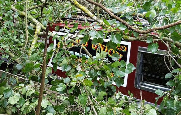 tree Market Harborough