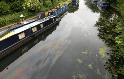 Photo by Blaine Cookjpg