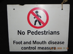 No pedestrians