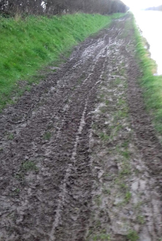 Towpath trimming