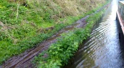 boggy towpath