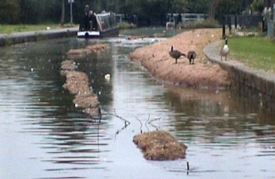 CoirRochdale