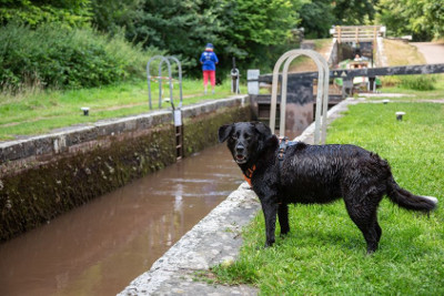 Llangynidr Lock Flight